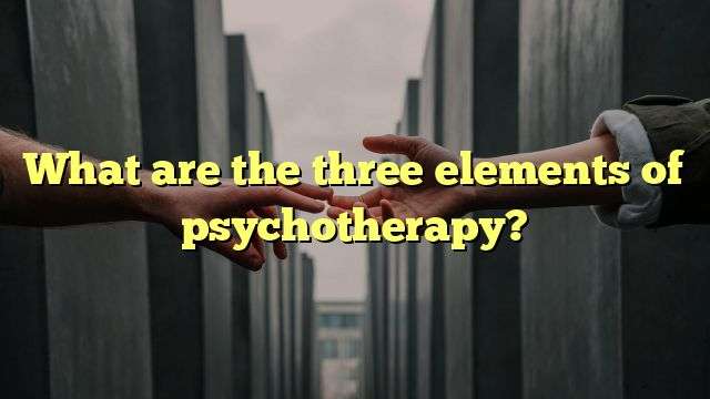 What are the three elements of psychotherapy?