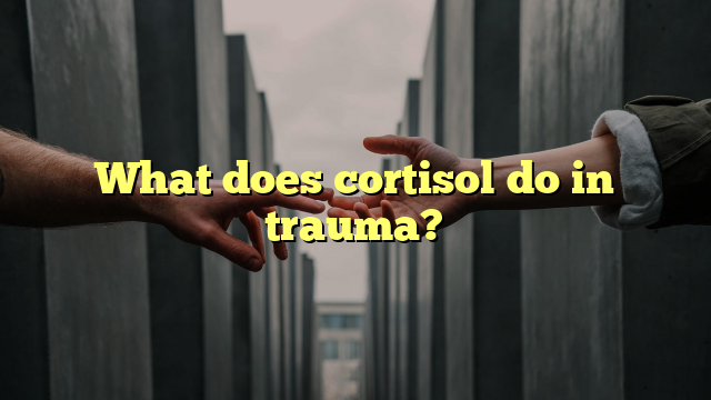 What does cortisol do in trauma?