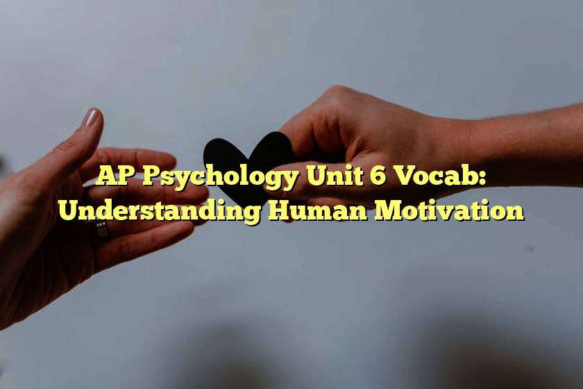 AP Psychology Unit 6 Vocab: Understanding Human Motivation