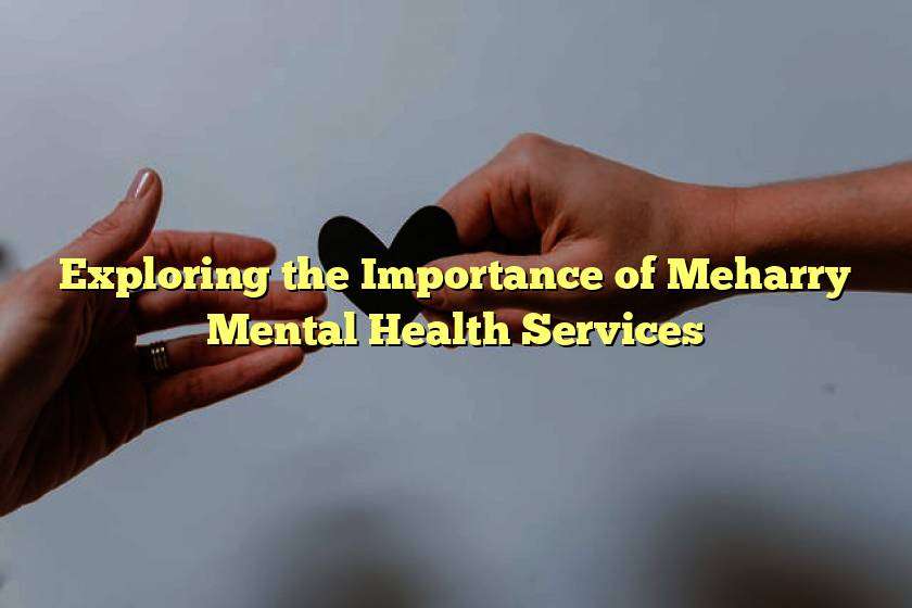 Exploring the Importance of Meharry Mental Health Services