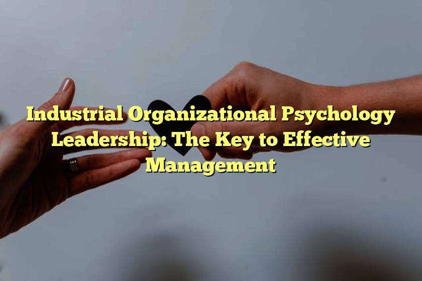 Industrial Organizational Psychology Leadership: The Key to Effective Management